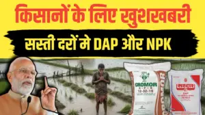 किसानों के लिए खुशखबरी, सस्ती दरों मे मिलेगा DAP और NPK..केंद्र सरकार का फैसला