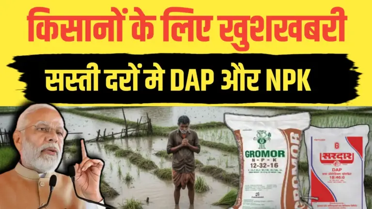 किसानों के लिए खुशखबरी, सस्ती दरों मे मिलेगा DAP और NPK..केंद्र सरकार का फैसला