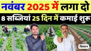 3 महीने में लाखों कमाएं! नवंबर मे 5 सब्ज़ियां जो आपको मालामाल कर सकती हैं!