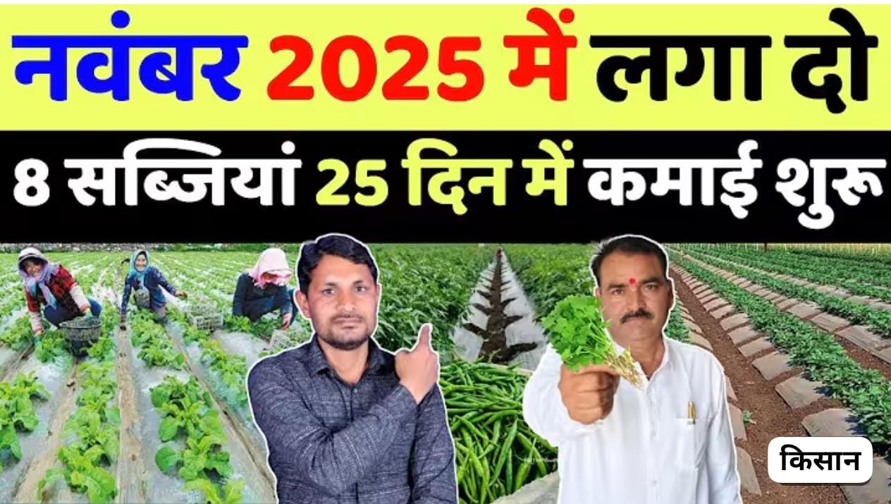 3 महीने में लाखों कमाएं