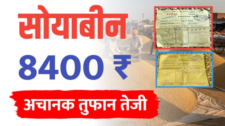 सोयाबीन 8000 पार; ₹8000 रुपये से अधिक दर, देखें ताज़ा अपडेट