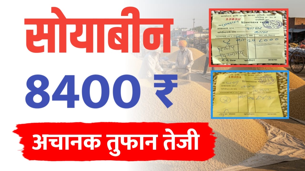 सोयाबीन 8000 पार